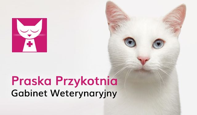 Gabinet Weterynaryjny Praska Przykotnia