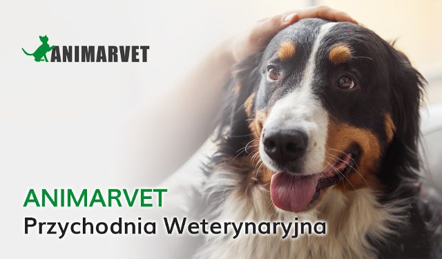 Przychodnia Weterynaryjna Animarvet