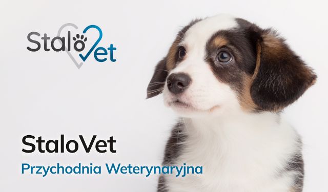 Przychodnia Weterynaryjna StaloVet