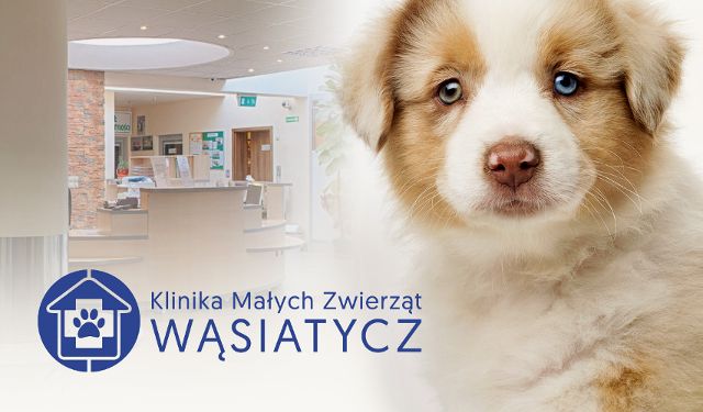Klinika Małych Zwierząt Wąsiatycz