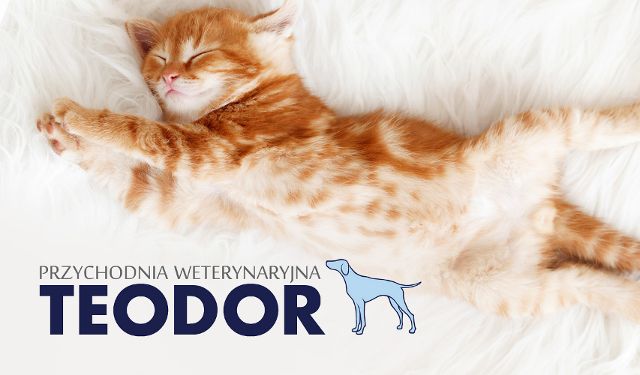 Przychodnia Weterynaryjna TEODOR