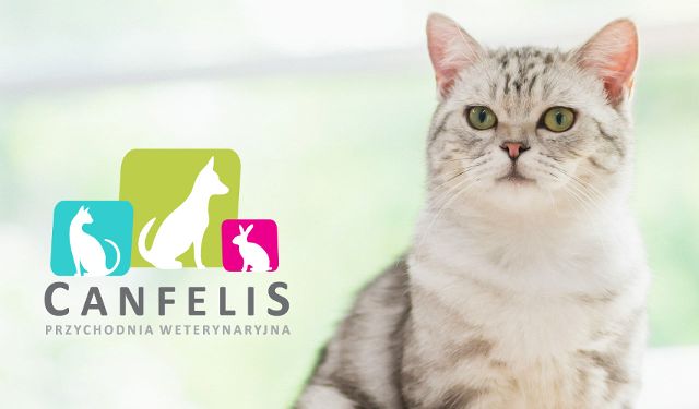 Przychodnia Weterynaryjna Canfelis 