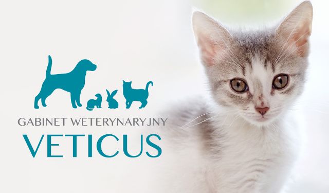 Gabinet Weterynaryjny VETICUS
