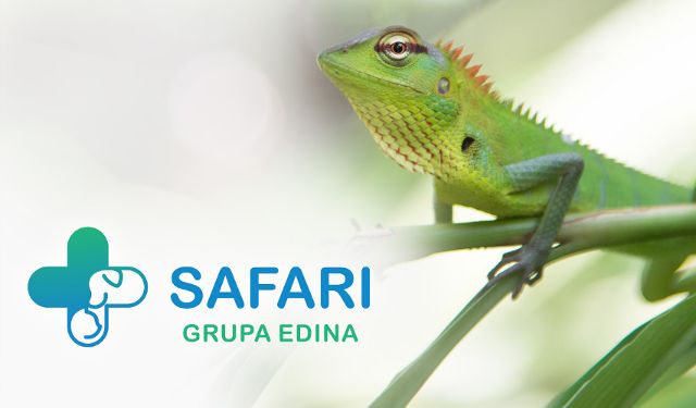 Przychodnia Weterynaryjna Safari Grupa EDINA 