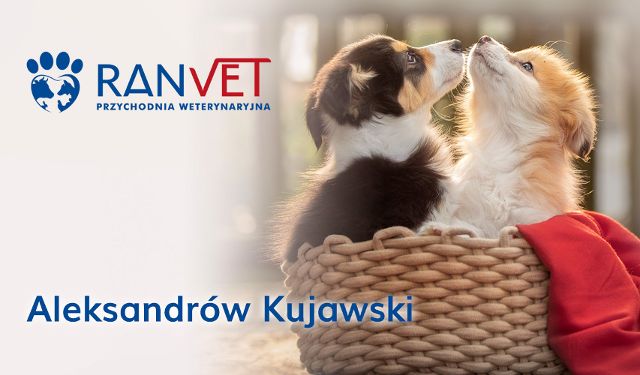 Przychodnia Weterynaryjna RANVET oddział Aleksandrów Kujawski