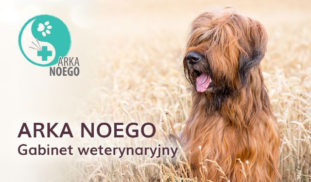 Gabinet weterynaryjny ARKA NOEGO