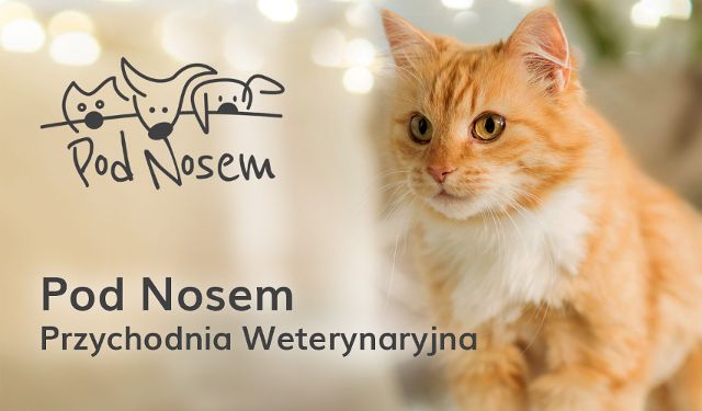 Przychodnia Weterynaryjna Pod Nosem