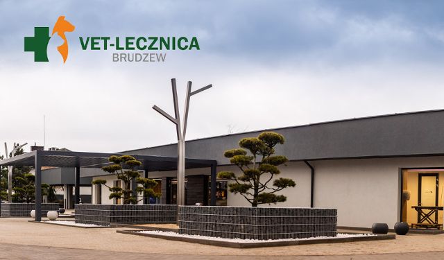 VET-LECZNICA Brudzew