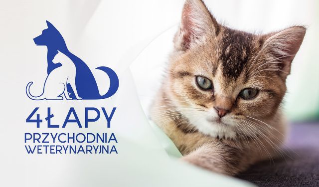 4 Łapy Przychodnia Weterynaryjna