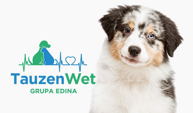 Całodobowe Centrum Weterynaryjne TauzenWet Grupa EDINA