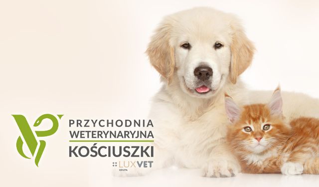 Przychodnia Weterynaryjna Kościuszki Grupa LUXVET