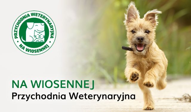 Przychodnia Weterynaryjna "Na Wiosennej"