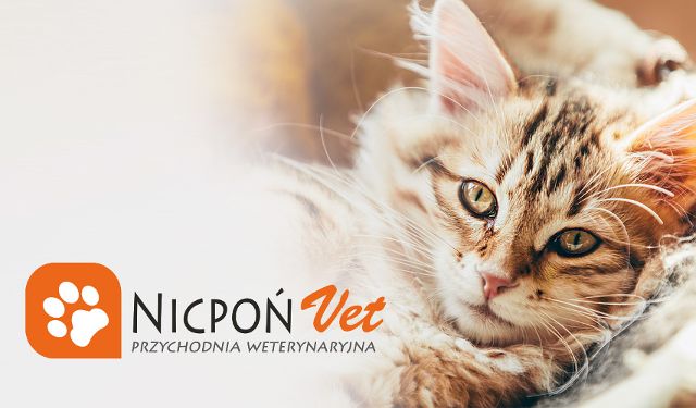 Przychodnia Weterynaryjna Nicpońvet