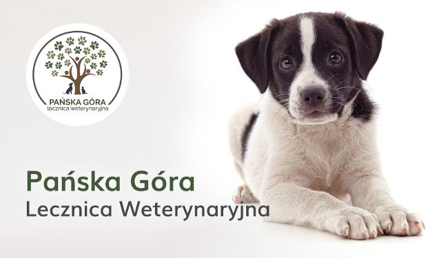 Lecznica Weterynajna Pańska Góra