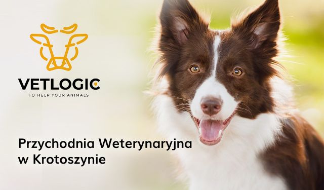 Przychodnia Weterynaryjna VETLOGIC, Krotoszyn