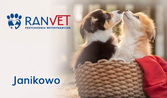 Przychodnia Weterynaryjna RANVET oddział Janikowo