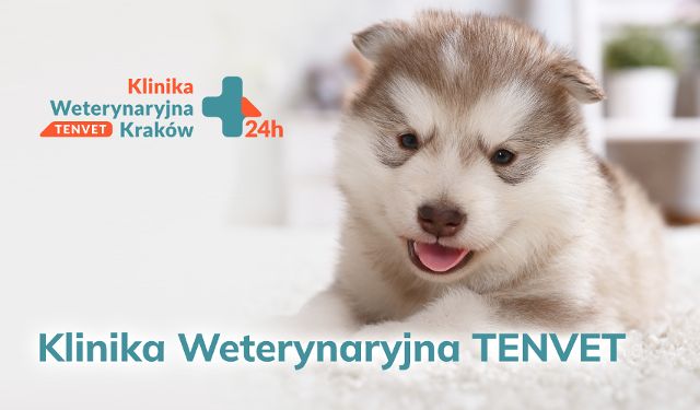 Klinika Weterynaryjna Tenvet