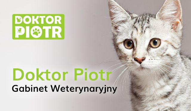Gabinet Weterynaryjny Doktor Piotr