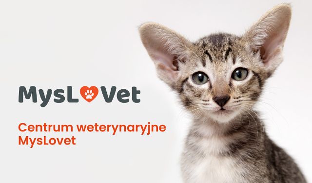 Centrum Weterynaryjne MysLovet