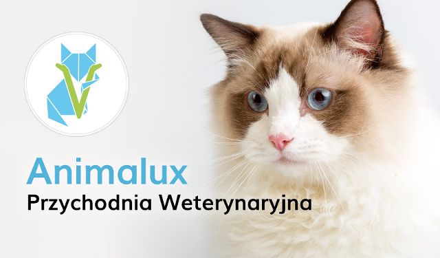 Przychodnia Weterynaryjna Animalux