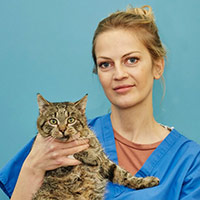 lek. wet. Beata Więcek