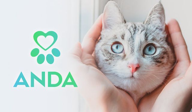 Przychodnia Weterynaryjna Anda