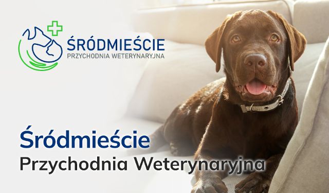 Przychodnia Weterynaryjna Śródmieście