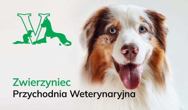 ZWIERZYNIEC Przychodnia Weterynaryjna lek. wet. Berenika Barszczewska