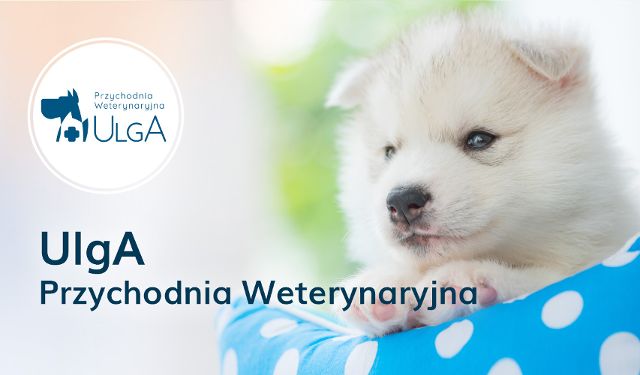 Przychodnia Weterynaryjna UlgA
