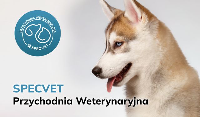 Przychodnia Weterynaryjna SpecVet Anna, Marcin Trymers