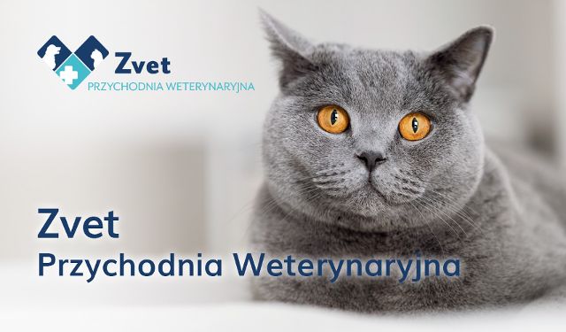 Przychodnia Weterynaryjna Zvet Marzena Zajda-Pabich