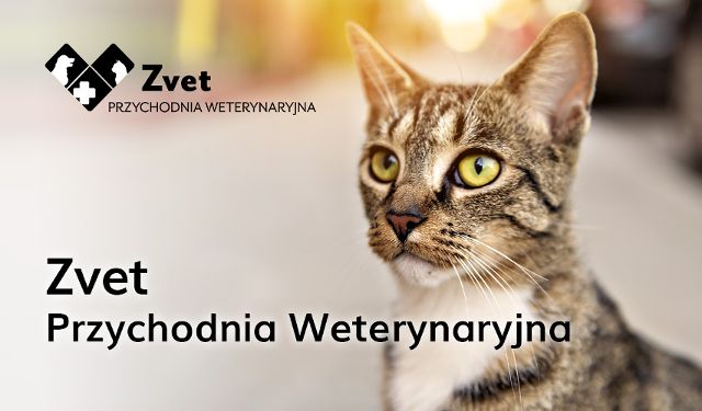 Przychodnia Weterynaryjna Zvet Marzena Zajda-Pabich