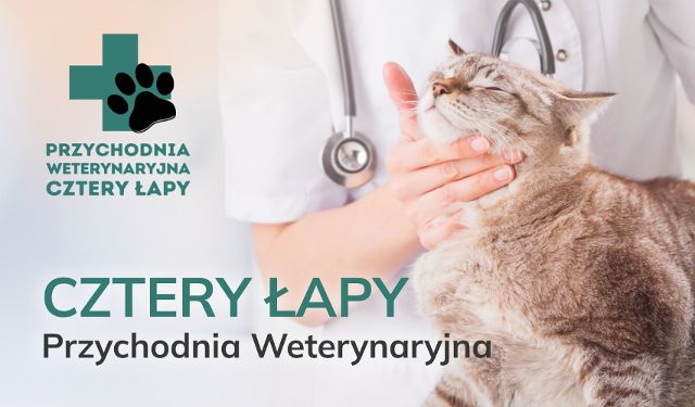 Gabinet Weterynaryjny Cztery Łapy