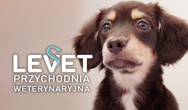 Przychodnia Weterynaryjna LEVET
