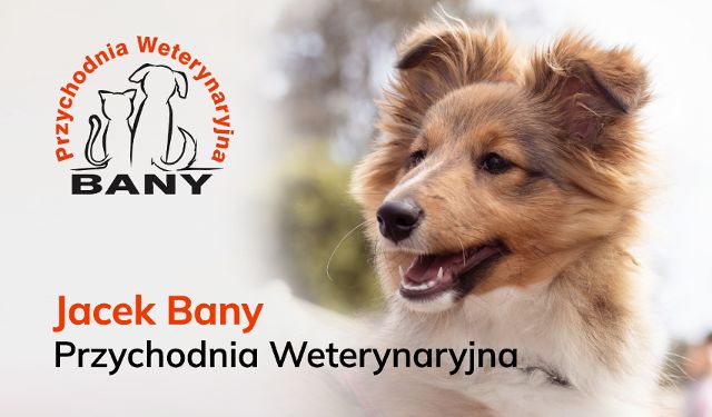Przychodnia Weterynaryjna Jacek Bany