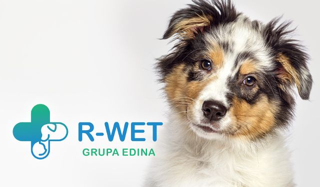 Przychodnia Weterynaryjna R-wet Grupa EDINA