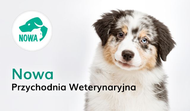 Przychodnia Weterynaryjna NOWA