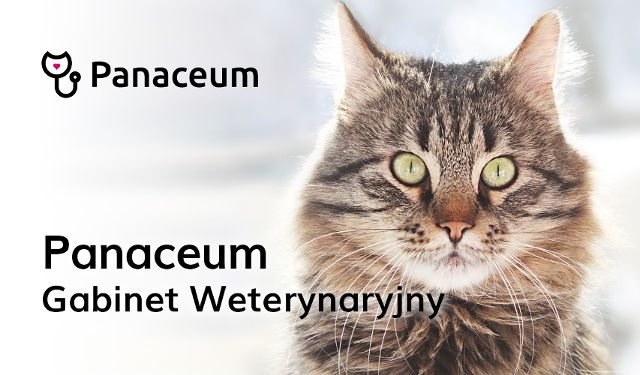 Gabinet Weterynaryjny Panaceum lek. wet. Daria Sagan