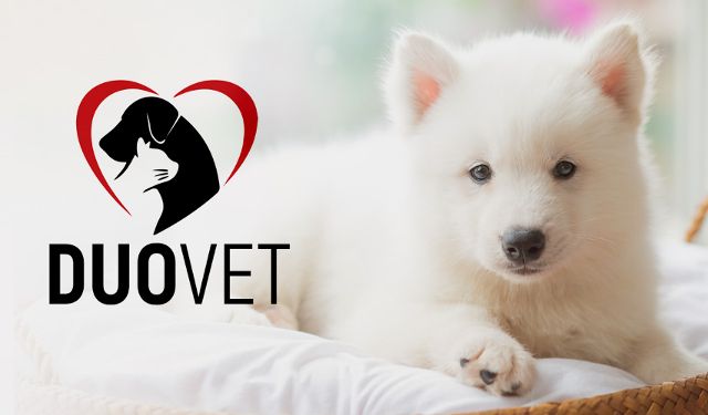 Przychodnia Weterynaryjna Duovet