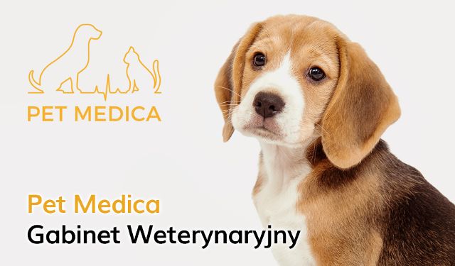 Gabinet Weterynaryjny Pet Medica