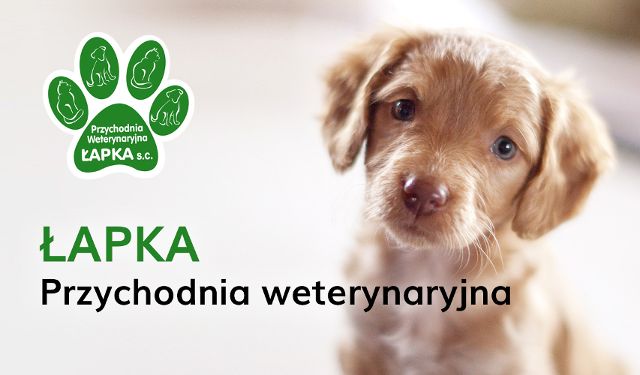 Przychodnia Weterynaryjna ŁAPKA