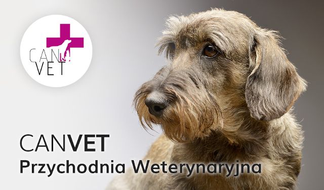 Przychodnia Weterynaryjna CANVET Sp. z o.o.