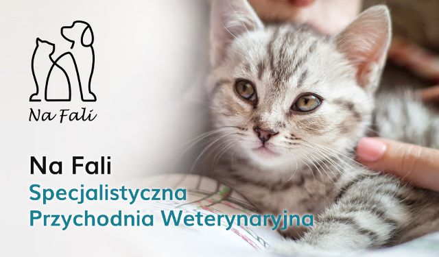 Przychodnia Weterynaryjna Na Fali