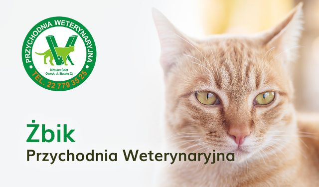 Przychodnia weterynaryjna ŻBIK