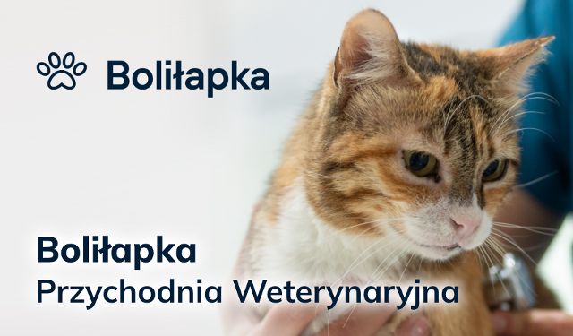 BOLIŁAPKA - Przychodnia Weterynaryjna