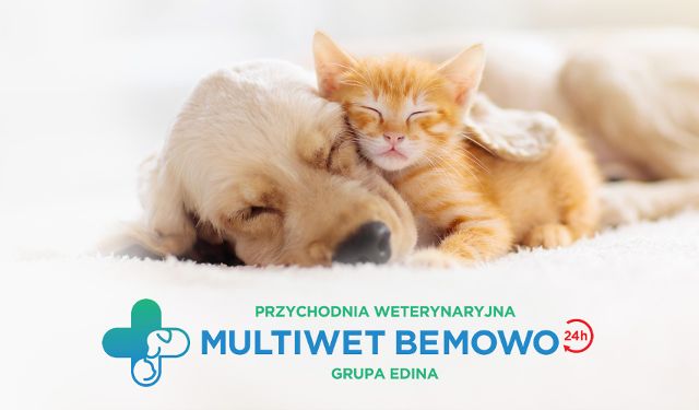 Całodobowa Przychodnia Weterynaryjna Multiwet Bemowo