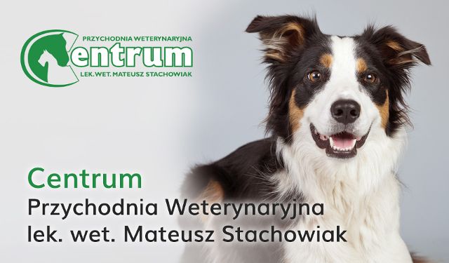Przychodnia Weterynaryjna Centrum w Brodnicy