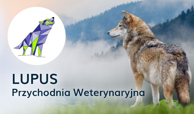 Przychodnia Weterynaryjna Lupus