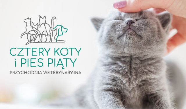 Przychodnia Weterynaryjna Cztery Koty i Pies Piąty