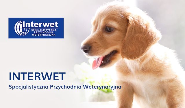 Specjalistyczna Przychodnia Weterynaryjna INTERWET